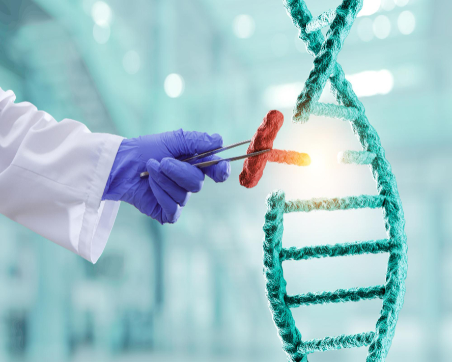 Alport Sendromu: Genetik Böbrek Hastalığı Rehberi