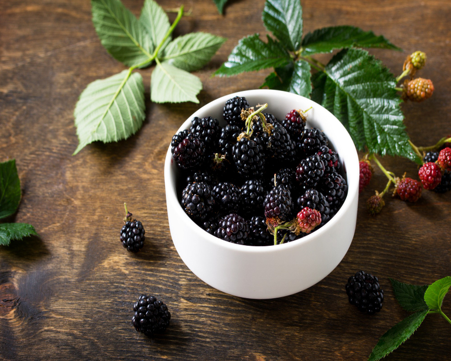 Karadut Özü Faydaları Nelerdir ve Nasıl Kullanılır?