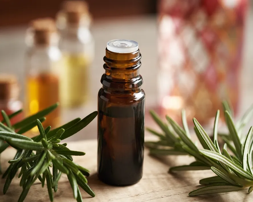 Biberiye Yağı: Faydaları, Kullanım Alanları ve Yan Etkileri