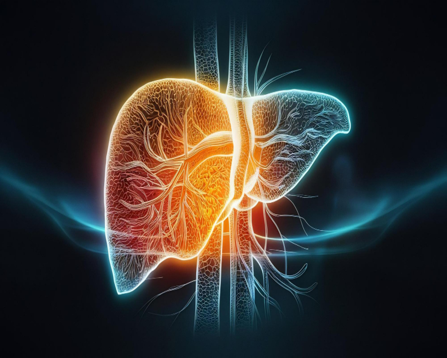 Karaciğere Ne İyi Gelir? Karaciğerinizi Koruyacak Beslenme Önerileri