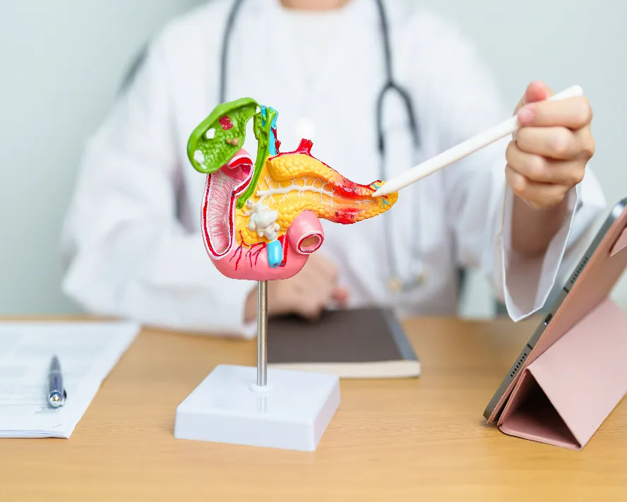 Pankreas Kanseri: Erken Teşhis, Modern Tedavi Yaklaşımları