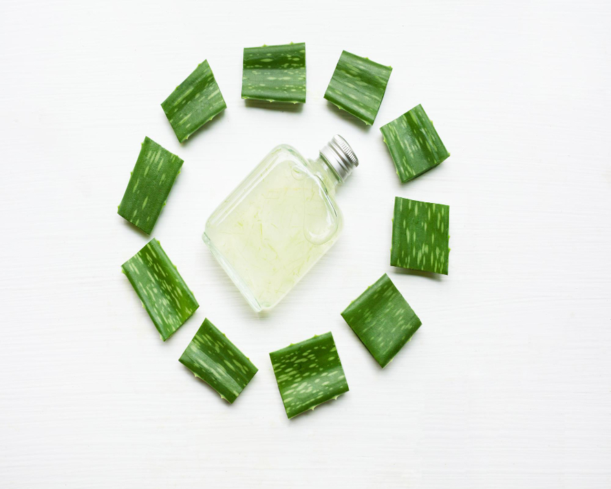 Aloe Vera: Doğal Şifa Kaynağı