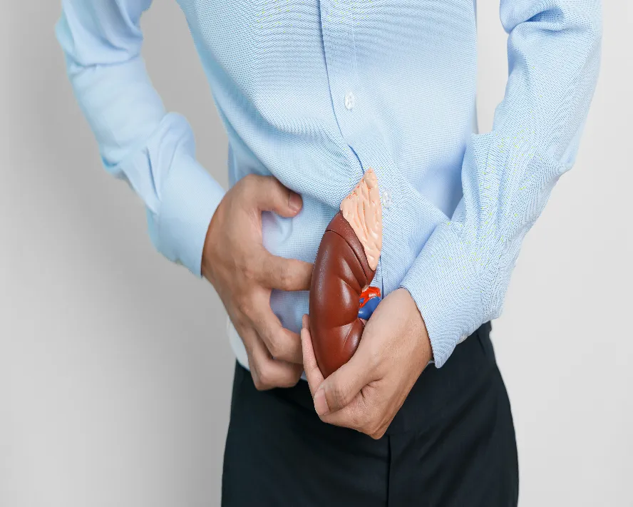 Böbrek Yetmezliği: Tanımı, Nedenleri, Belirtileri, Teşhis ve Tedavi Süreçleri