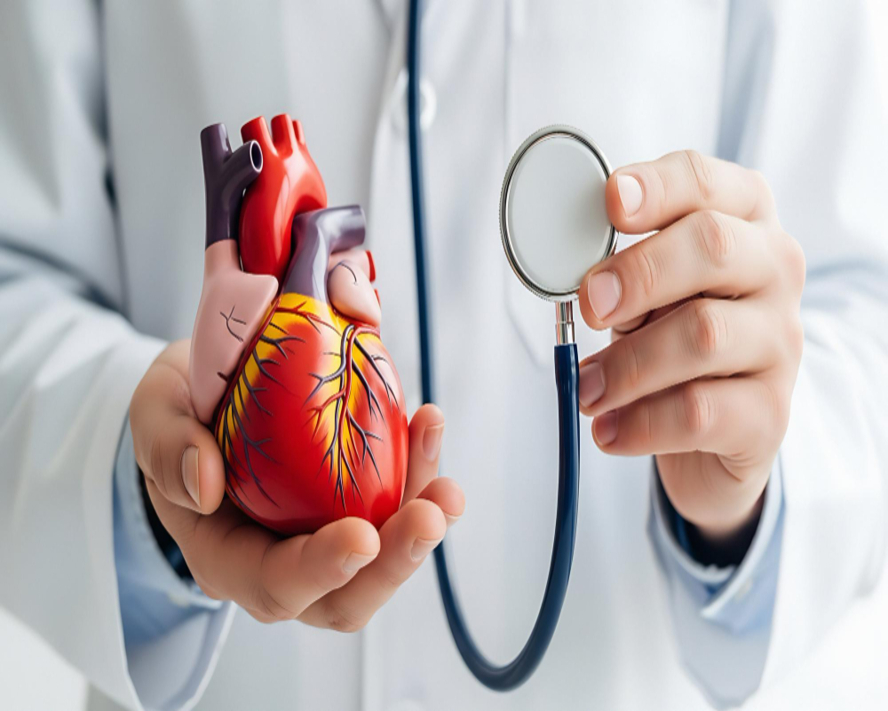Kalp Check-Up&rsquo;ının Önemi: Hayatınızı Koruyun