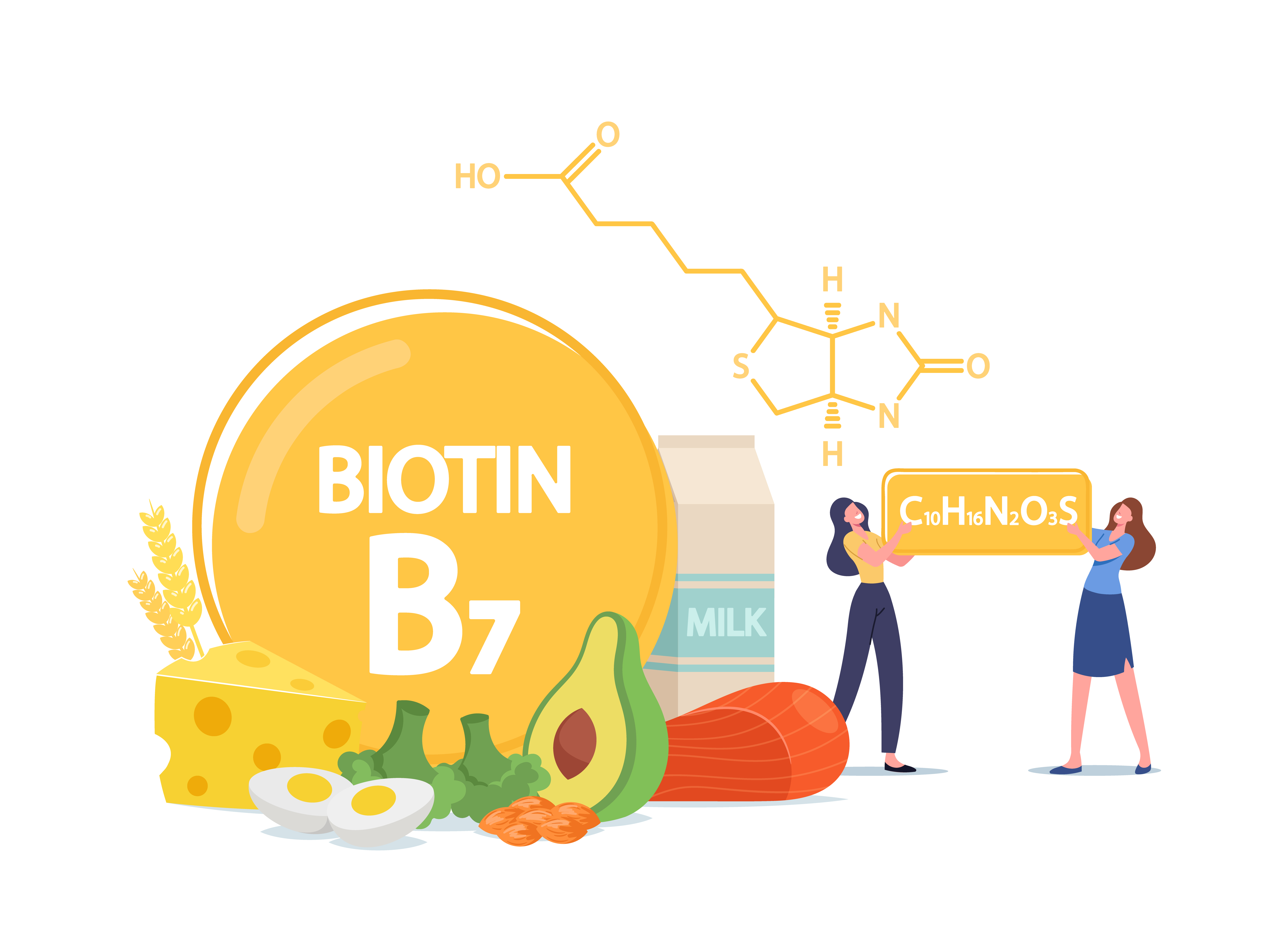 Biotin Ne İşe Yarar? Sağlığa Faydaları, Eksikliği ve Besin Kaynakları