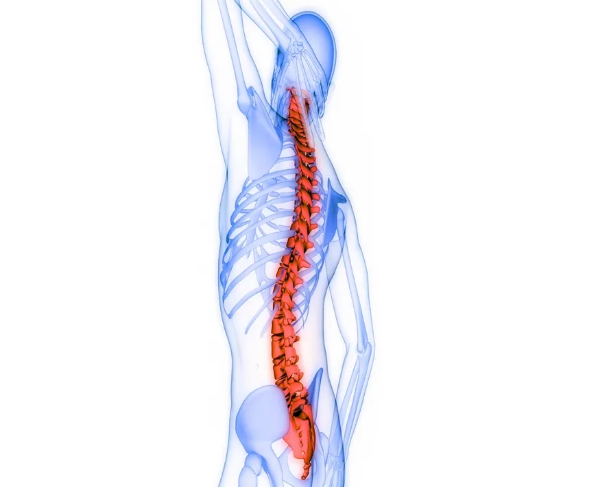Epidural Enjeksiyonlar Nelerdir?