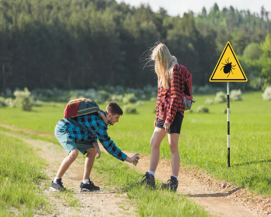 Lyme Hastalığı Nedir? Belirtileri ve Tedavisi