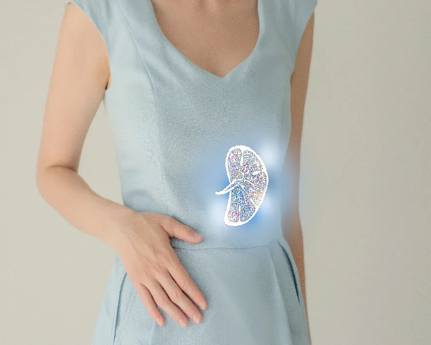 Dalak Büyümesi (Splenomegali) Nedir? Belirtileri ve Tedavisi