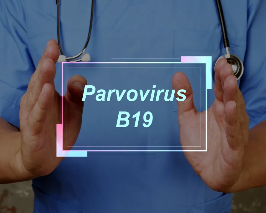 Norovirüs Enfeksiyonu