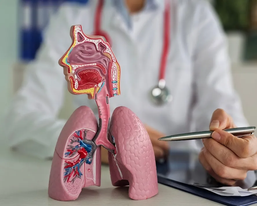 Pulmoner Stenoz (Pulmoner Darlık) Nedir, Neden Olur?