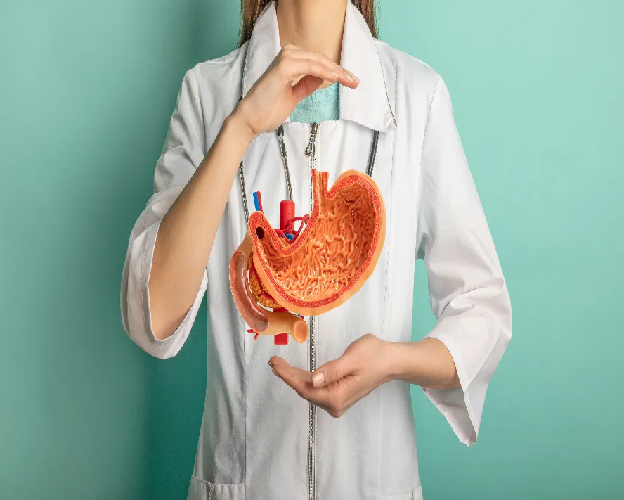 Gastrit (Midede Artmış Asit Salgısı) Nedir?