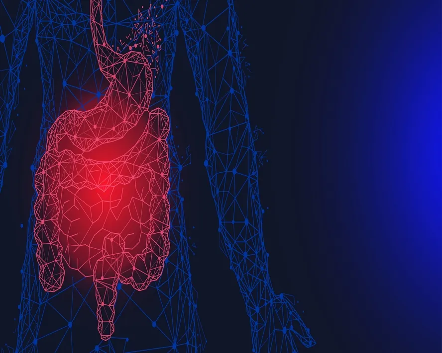 Gastroenterit Nedir? Belirtileri ve Tedavisi Nedir?