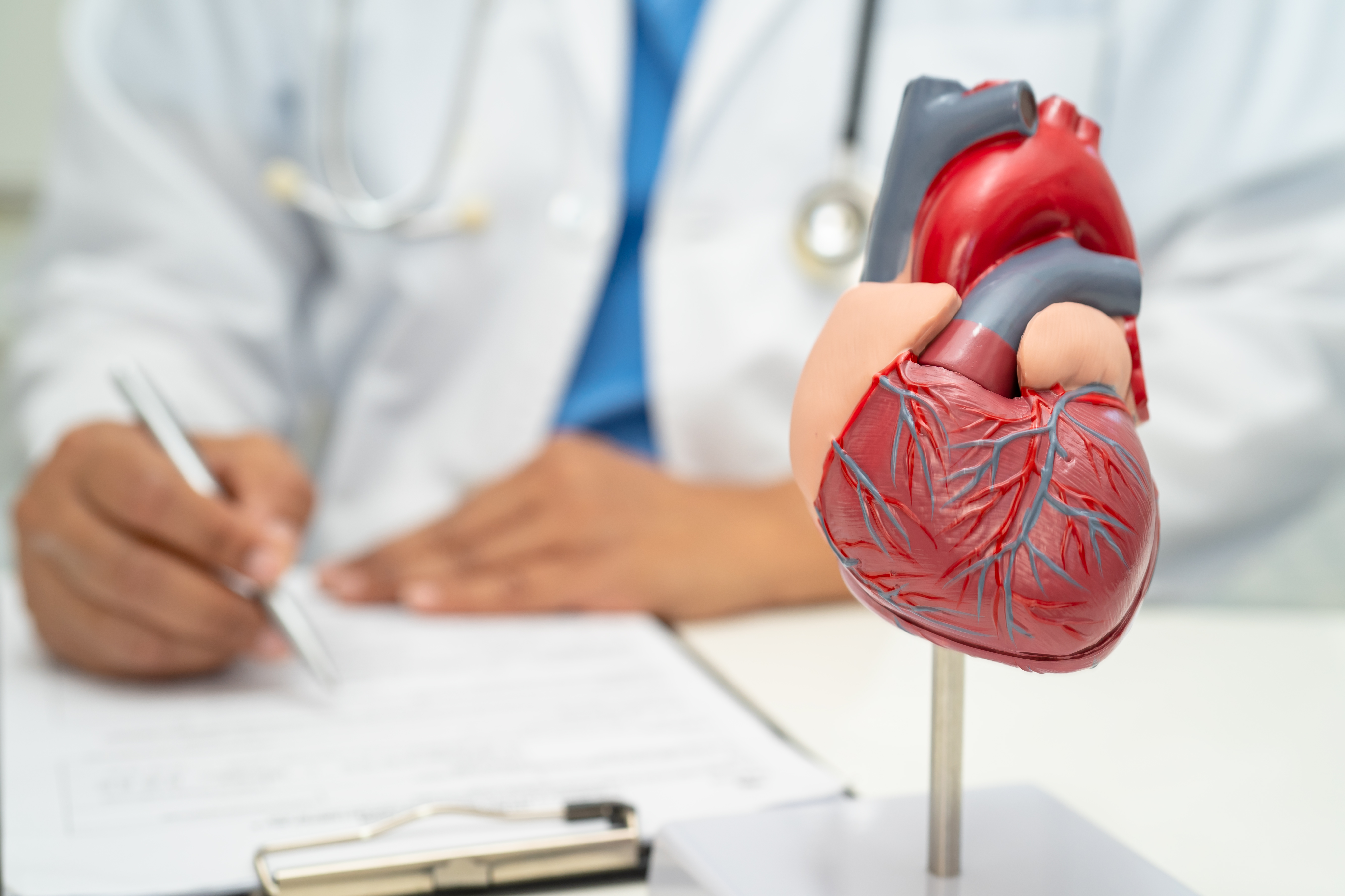 Mitraclip (Mandallı Mitral Kapak Tedavisi) Nedir, Nasıl Uygulanır?