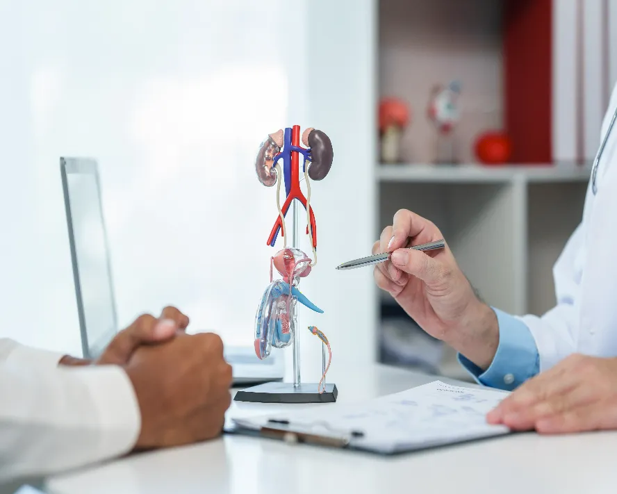 Testis Torsiyonu Nedir? Testis Torsiyonu Belirtileri