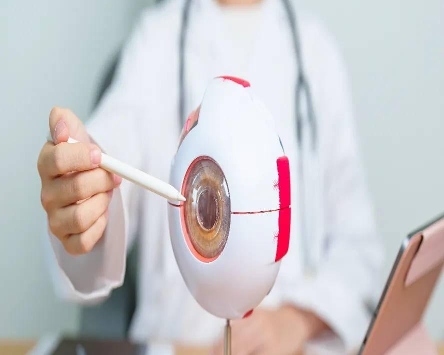 Sarı Nokta Hastalığı (Makula Dejenerasyonu) Nedir?