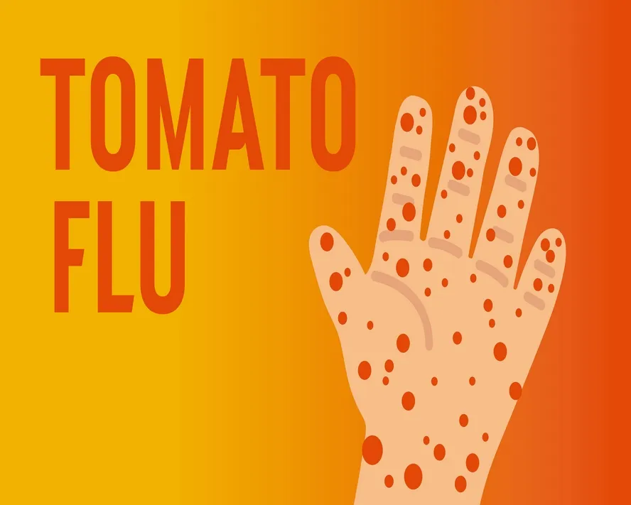 Domates Gribi Nedir? Belirtileri Nelerdir?