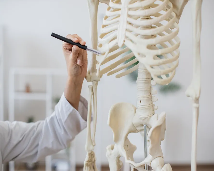 Kemik Dansitometresi Nedir?