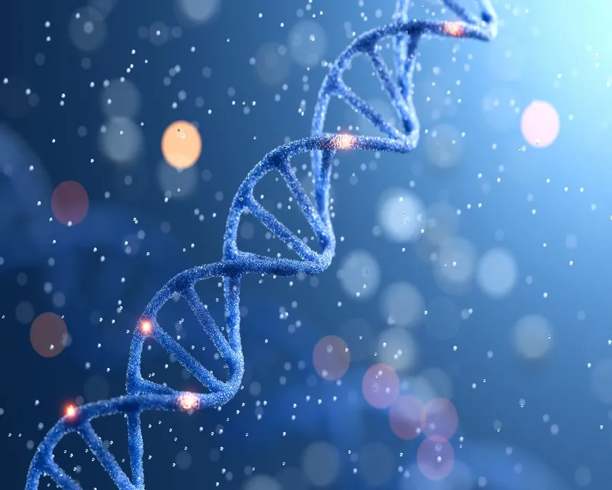 Preimplantasyon Genetik Tanı (PGT) Nedir?