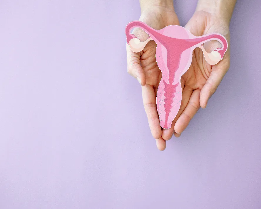 Östrojen Hormonu Nedir? Nasıl Artırılır?
